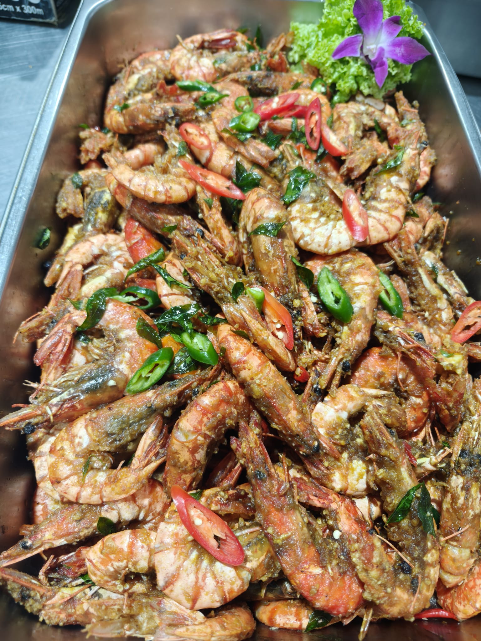 whatsapp image 2026 04 22 at 11.25.36