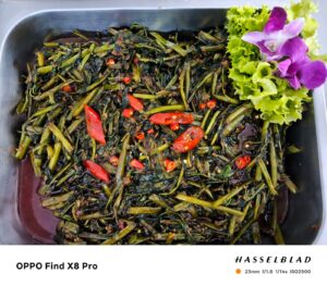 whatsapp image 2026 04 22 at 14.20.51