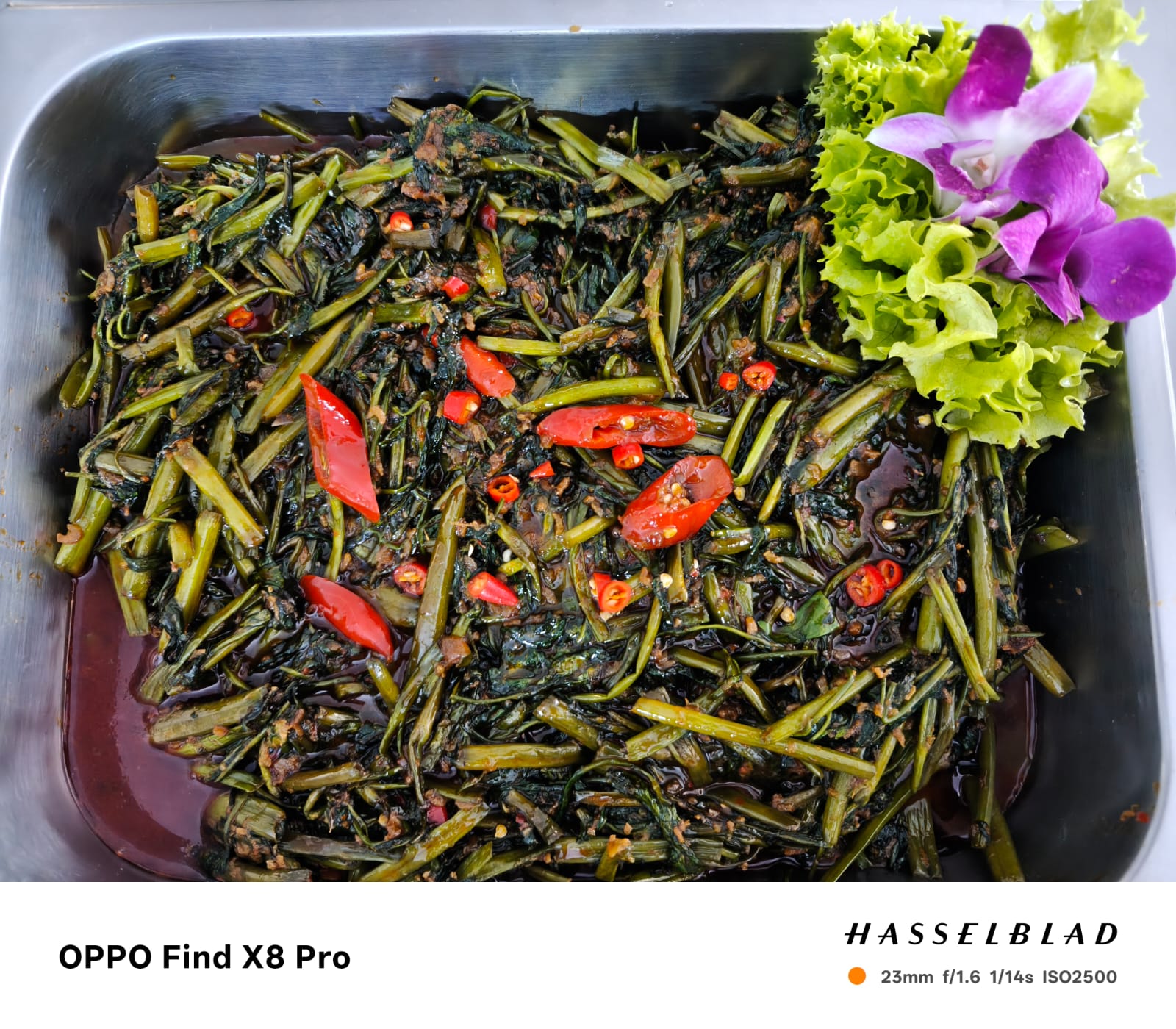 whatsapp image 2026 04 22 at 14.20.51