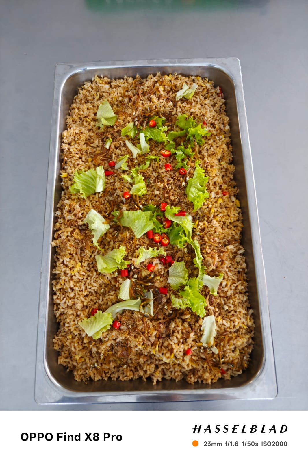 whatsapp image 2026 04 22 at 14.20.56